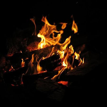 فيلا A Shack In The Woods بورت رينفرو المظهر الخارجي الصورة